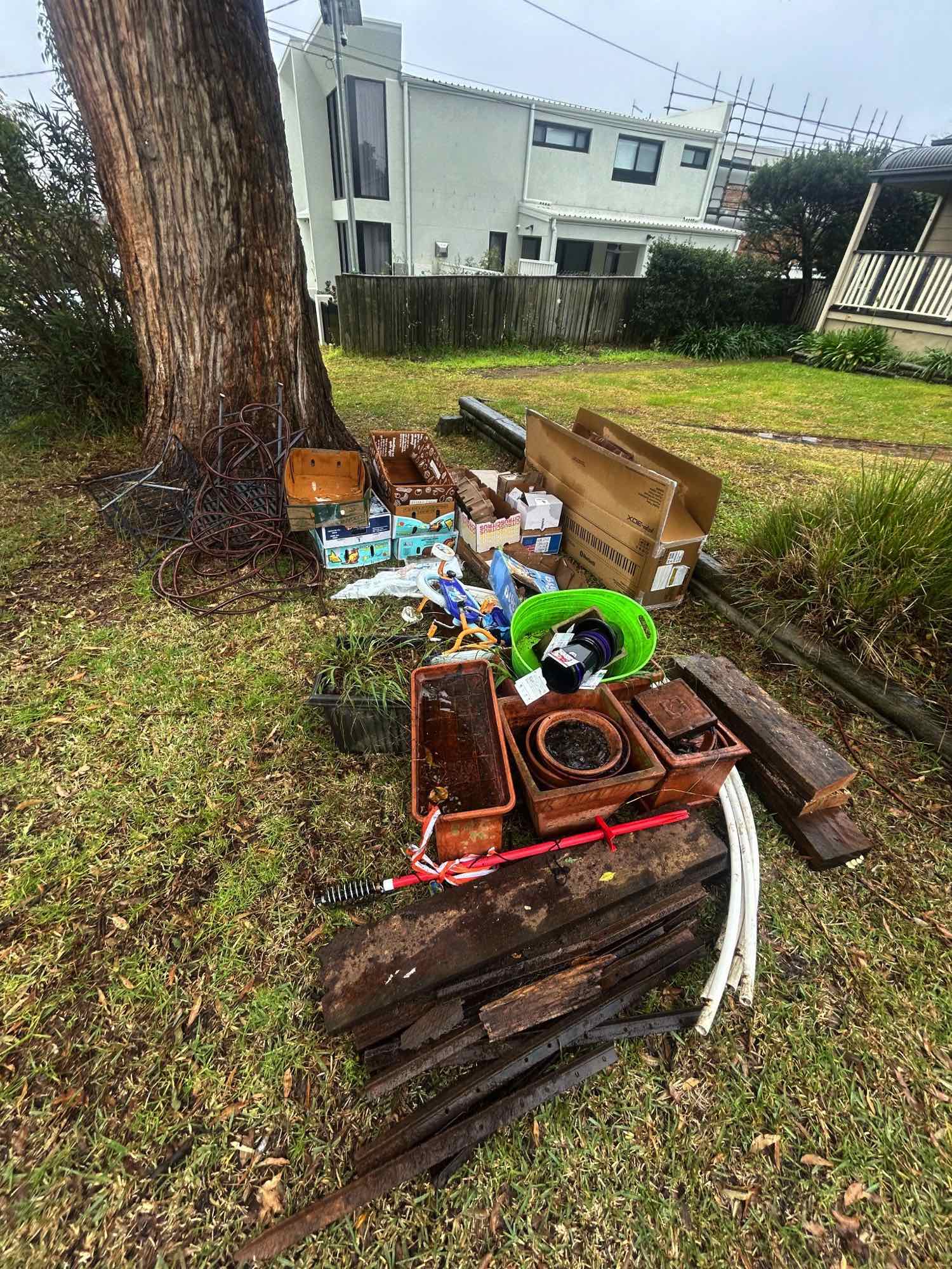 Front yard rubbish removal before photo showing timber, cardboard, pots and outdoor junk in Dulwich Hill